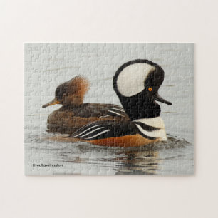 A Meeting of Hooded Merganser Ducks Jigsaw Puzzle