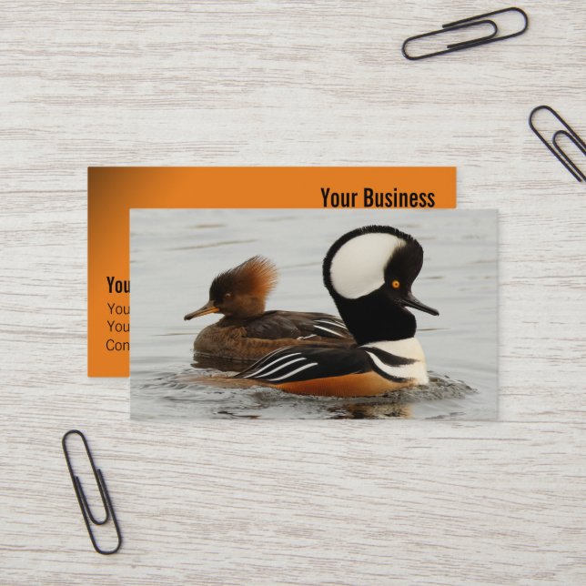 A Meeting of Hooded Mergansers Business Card (Front/Back In Situ)