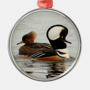A Meeting of Hooded Mergansers Metal Tree Decoration
