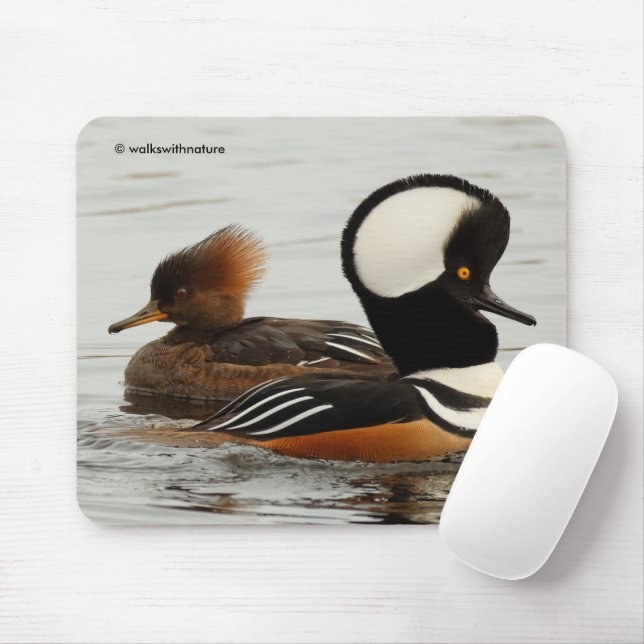 A Meeting of Hooded Mergansers Mouse Pad (With Mouse)