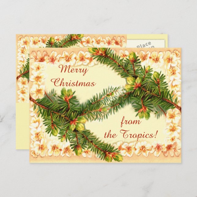 A Merry Christmas Vintage Postcard (Front/Back)