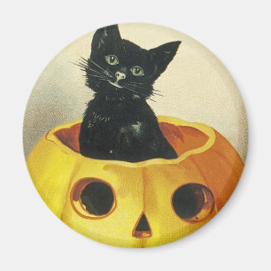 A Merry Haloween Kitten Magnet