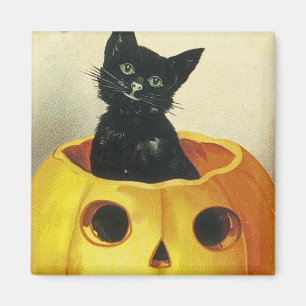 A Merry Haloween Kitten Magnet