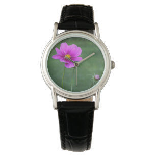 A Mexican Aster Watch