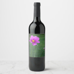 A Mexican Aster Wine Label