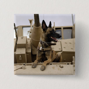 A military working dog sits on a M2A3 15 Cm Square Badge