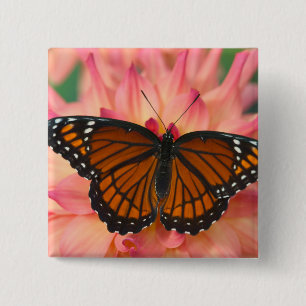 A Mimic Of The Monarch Butterfly 15 Cm Square Badge
