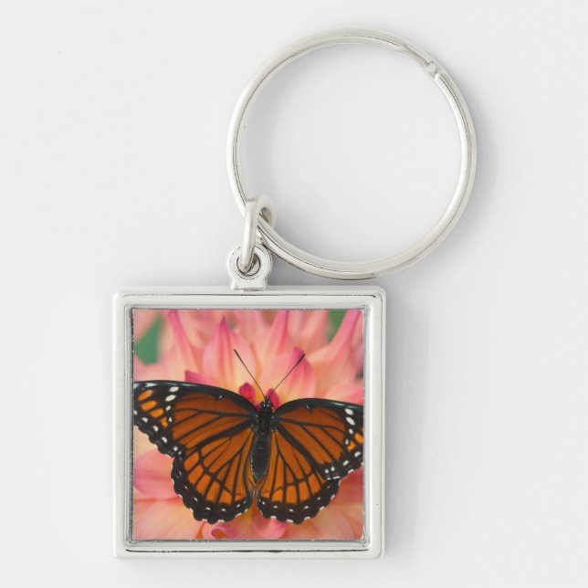 A Mimic Of The Monarch Butterfly Key Ring (Front)