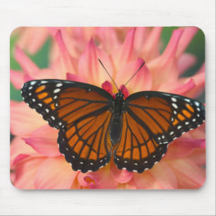 A Mimic Of The Monarch Butterfly Mouse Pad