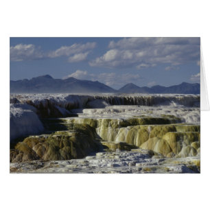 A mineral flow in Yellowstone.