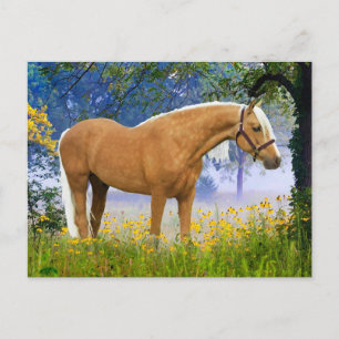 "A Misty Morning" Postcard