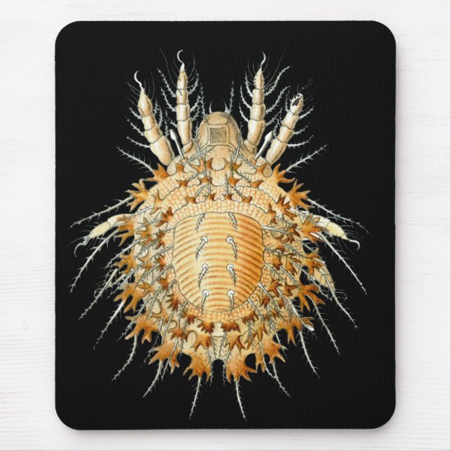 A Mite Mouse Pad (Front)