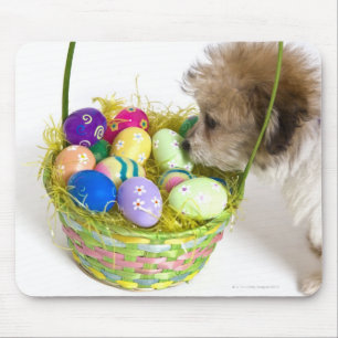 A mixed breed puppy sniffing at an Easter basket Mouse Pad