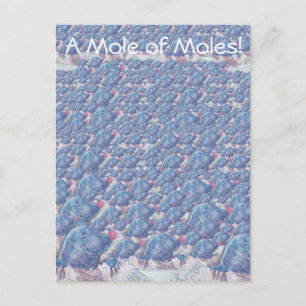 A Mole of Moles Cartoon Avogadro Constant Postcard