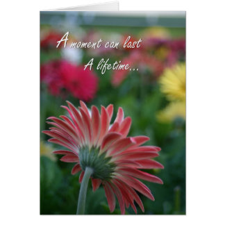 A Moment can last a lifetime pink gerbera daisy
