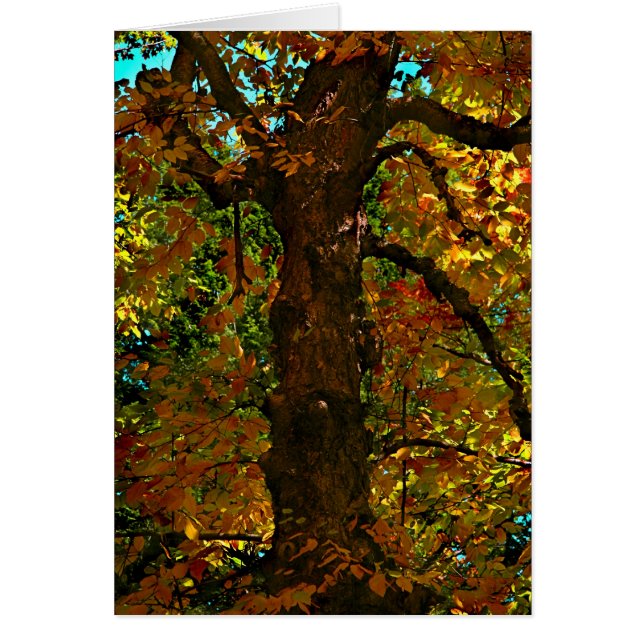 A Moment in Time (Front)