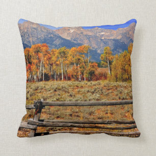 A Moment in Wyoming in Autumn Cushion
