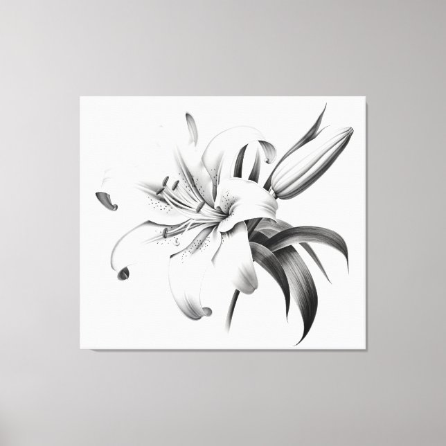 A Moment of Bloom Lily Pencil Sketch Charcoal Canvas Print (Front)