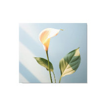 A Moment of Peace Calla Lily Minimal Realism