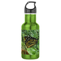A Monarch Butterfly