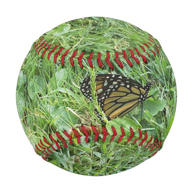A Monarch Butterfly  Baseball (Front)