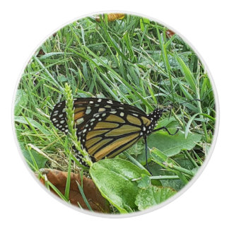 A Monarch Butterfly  Ceramic Knob