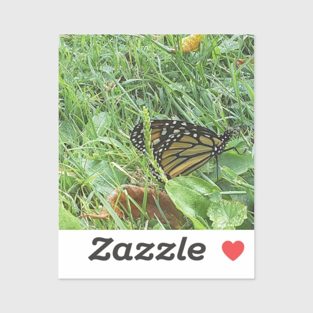 A Monarch Butterfly Custom-Cut Vinyl Sticker (Sheet)