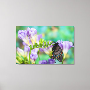 A Monarch Butterfly Danaus Plexippus Canvas Print