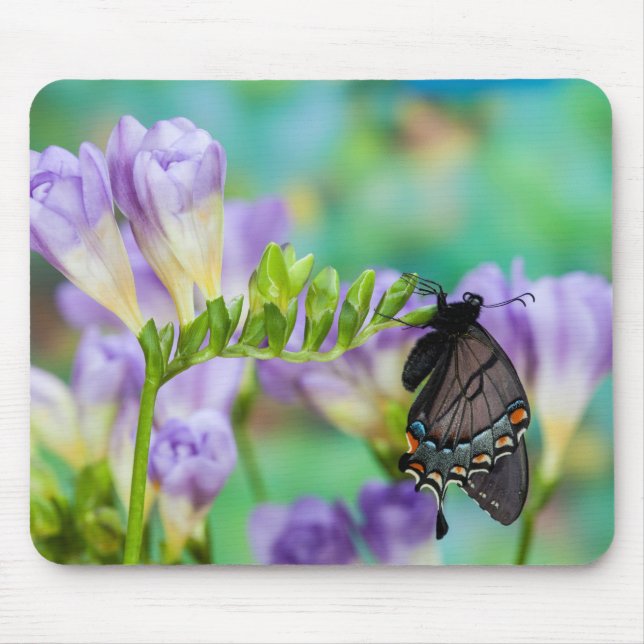 A Monarch Butterfly | Danaus Plexippus Mouse Pad (Front)