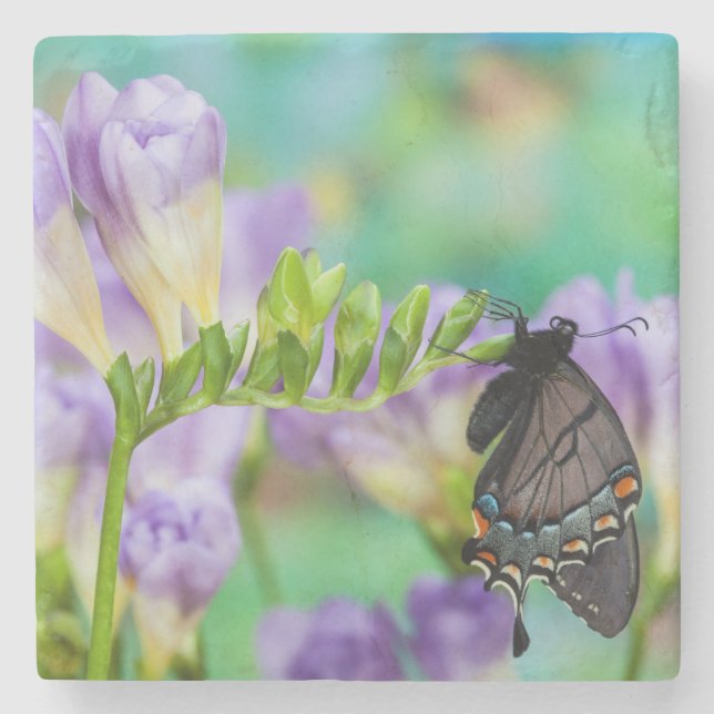 A Monarch Butterfly | Danaus Plexippus Stone Coaster (Front)
