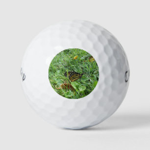 A Monarch Butterfly Golf Balls