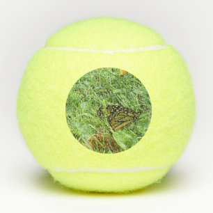 A Monarch Butterfly Tennis Balls