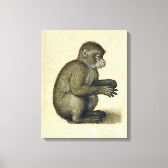 A Monkey Canvas Print (Front)