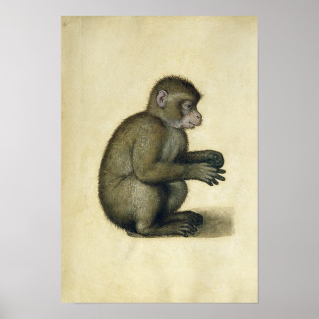 A Monkey Poster (Front)