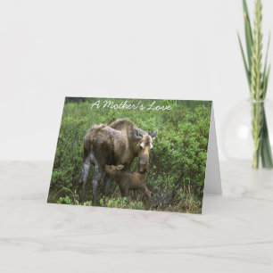 A Mother's Love Card