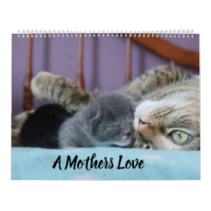 A MOTHERS LOVE MAMACAT & HER KITTENS CALENDAR