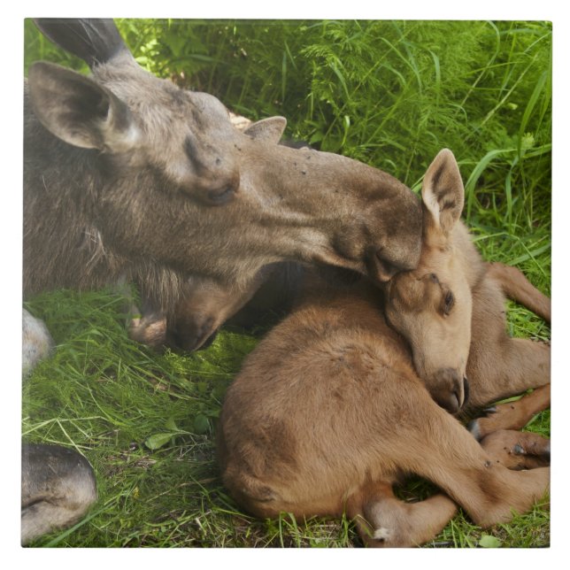 A Mother's Love Tile (Front)