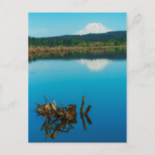 A Mountain Peers Over a Hedge Postcard