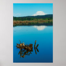 A Mountain Peers Over a Hedge