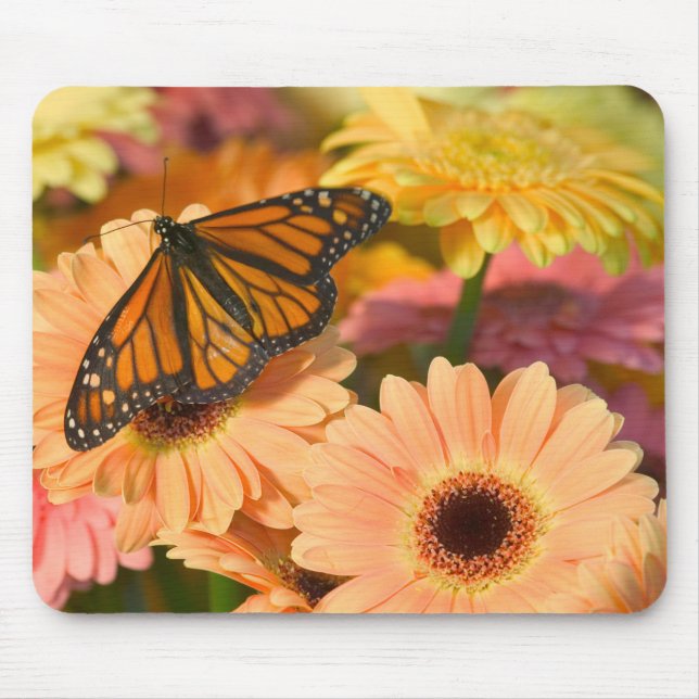 A Mourning Cloak Butterfly Mouse Pad (Front)