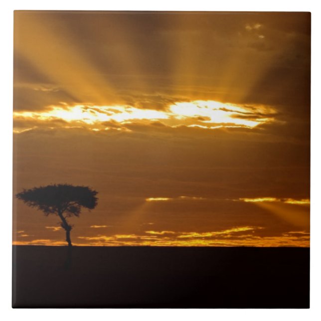 A mouth openning sunrise in the Maasai Mara Tile (Front)
