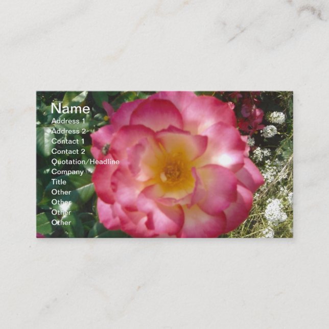 A Multi-Coloured Rose Business Card (Front)