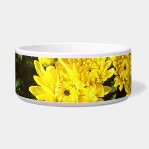 A Multitude of Yellow Mums