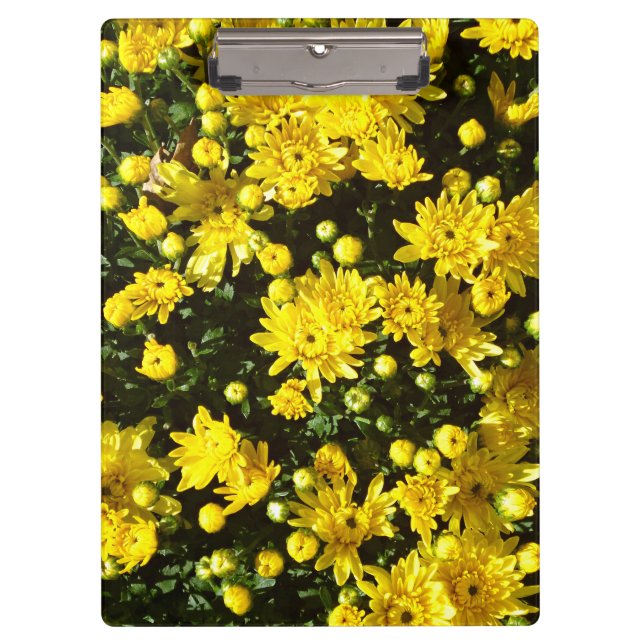 A Multitude of Yellow Mums Clipboard (Front)