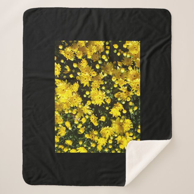 A Multitude of Yellow Mums Sherpa Blanket (Front)