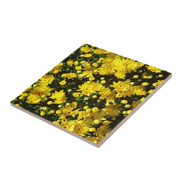 A Multitude of Yellow Mums Tile (Side)