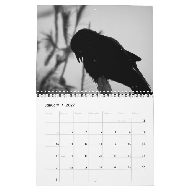 A Murder of Crows Calendar 2015 (Jan 2027)