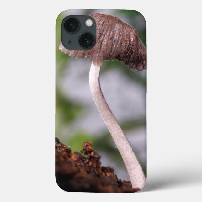 A Mushroom Case-Mate iPhone Case (Back)