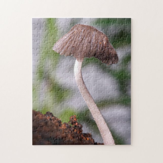 A Mushroom Jigsaw Puzzle (Vertical)