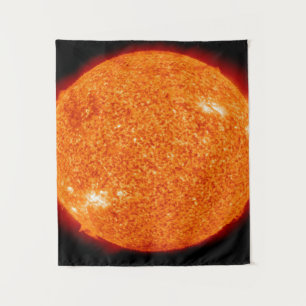 A NEAR VIEW OF THE BEAUTIFUL SUN TAPESTRY